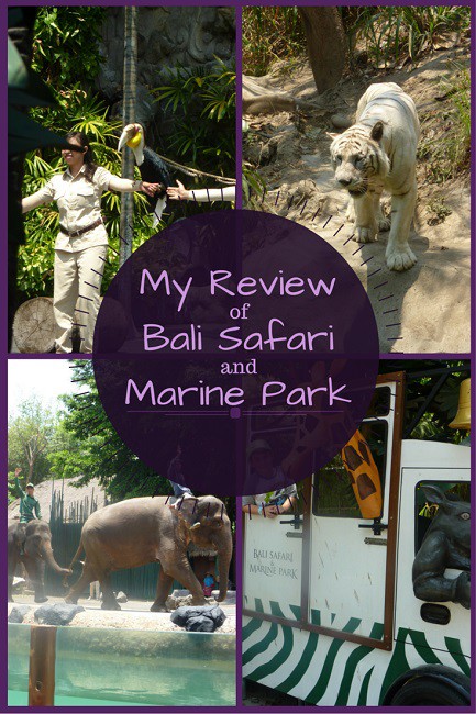 A Family Day Out at Bali Safari and Marine Park: A Review - Toddlers on
